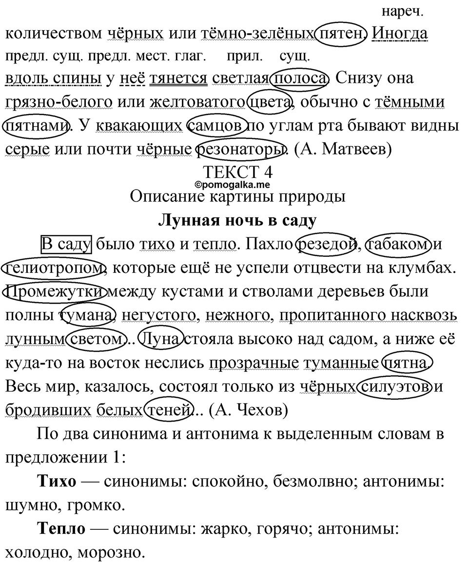страница 24 упражнение 22 русский язык 6 класс Бондаренко рабочая тетрадь 1 часть 2023 год