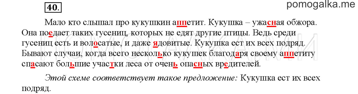 часть 1 страница 17 упражнение 40русский язык 3 класс Желтовская, Калинина 2019 год