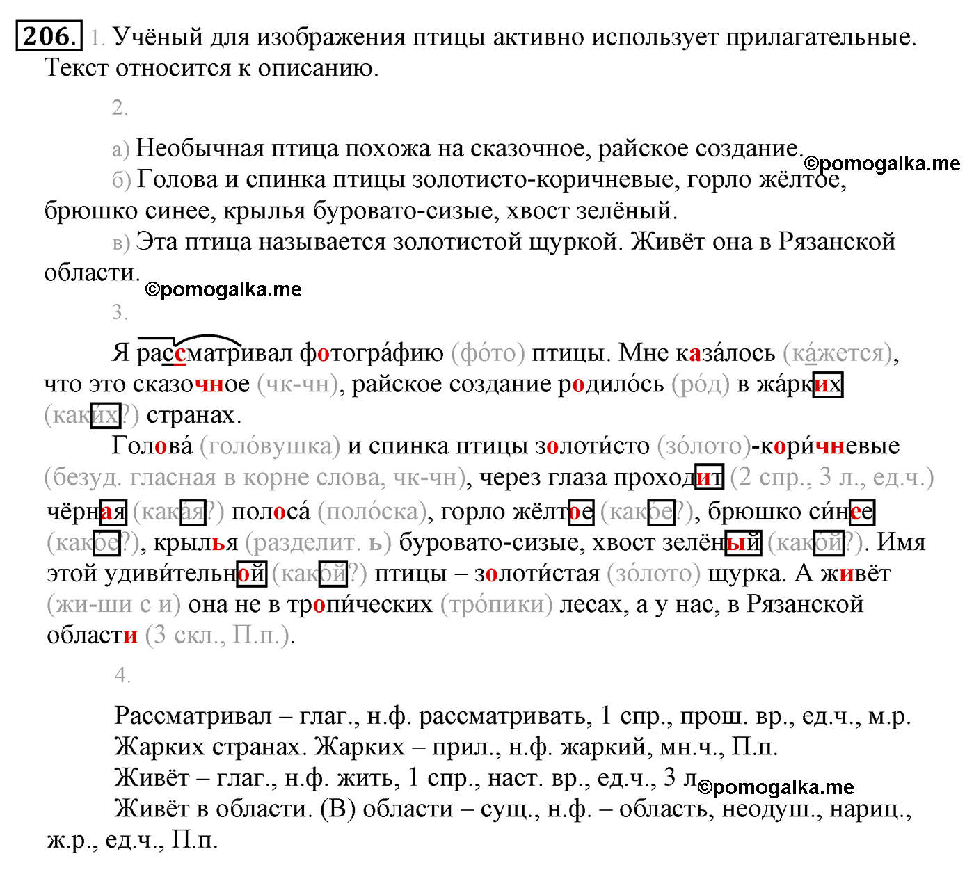 часть 2 страница 120 упражнение 206 русский язык 4 класс Климанова, Бабушкина