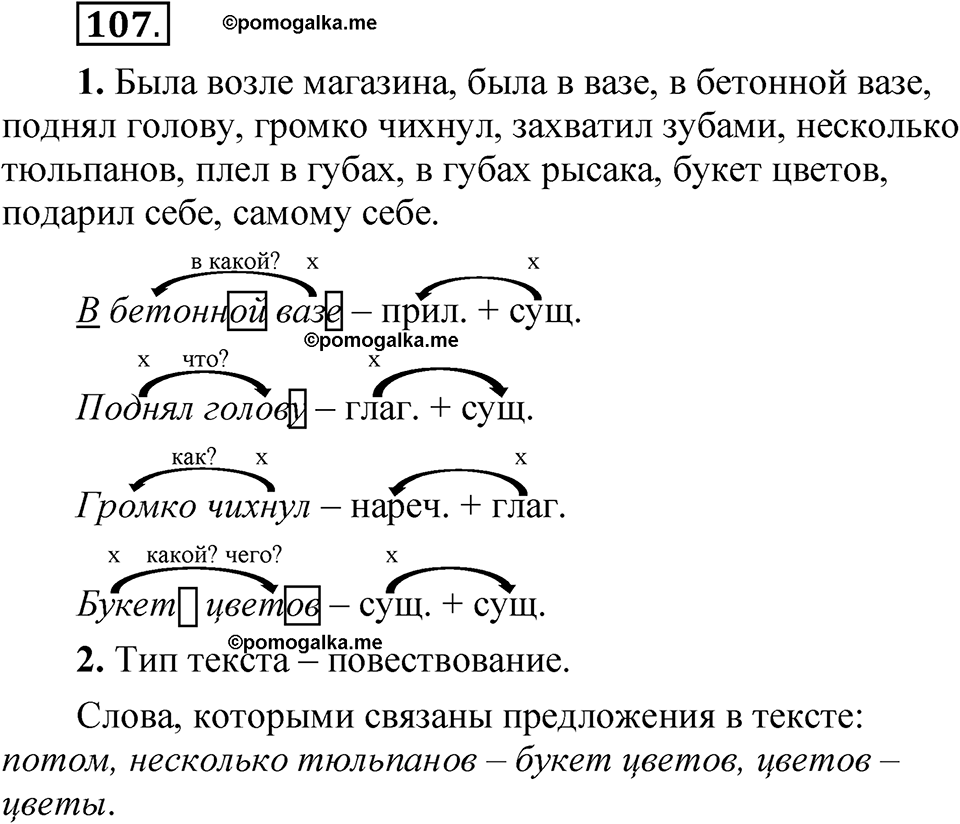 страница 87 упражнение 107 русский язык 5 класс Быстрова, Кибирева 1 часть 2021 год