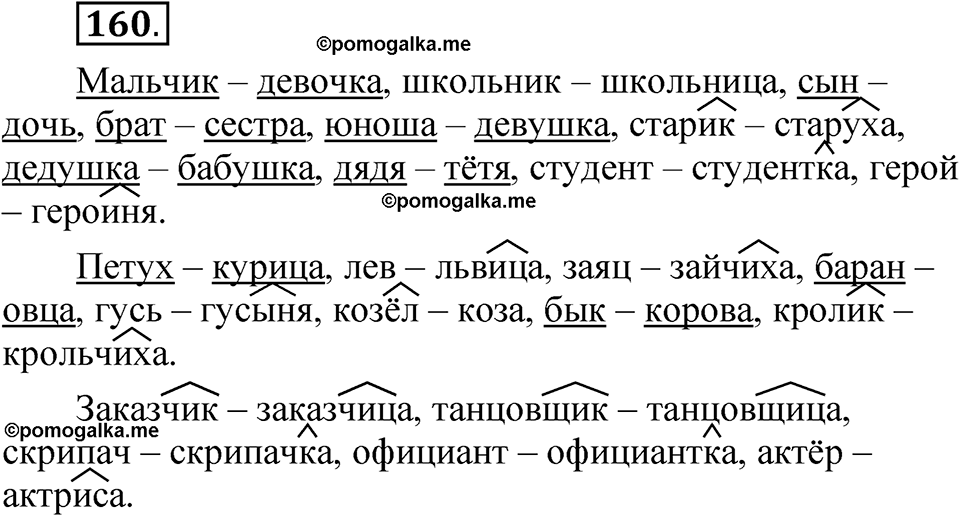 страница 113 упражнение 160 русский язык 5 класс Быстрова, Кибирева 2 часть 2021 год
