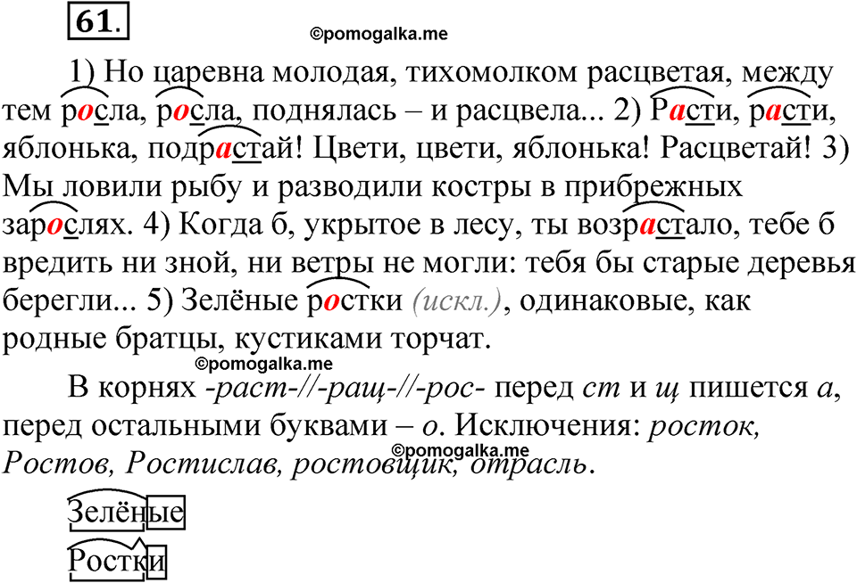страница 39 упражнение 61 русский язык 5 класс Быстрова, Кибирева 2 часть 2021 год