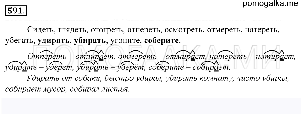 упражнение 591 русский язык 5 класс Купалова 2012 год