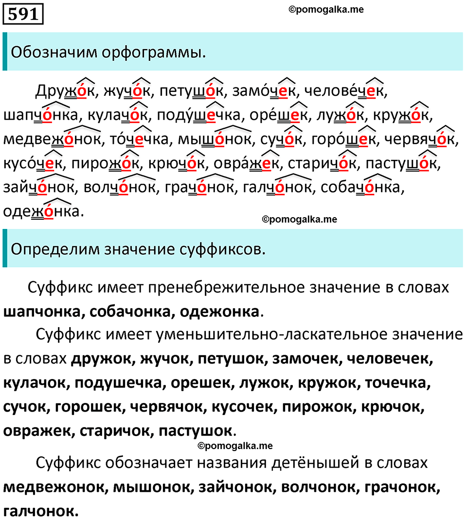 упражнение 591 русский язык 5 класс Ладыженская, Баранов 2023 год