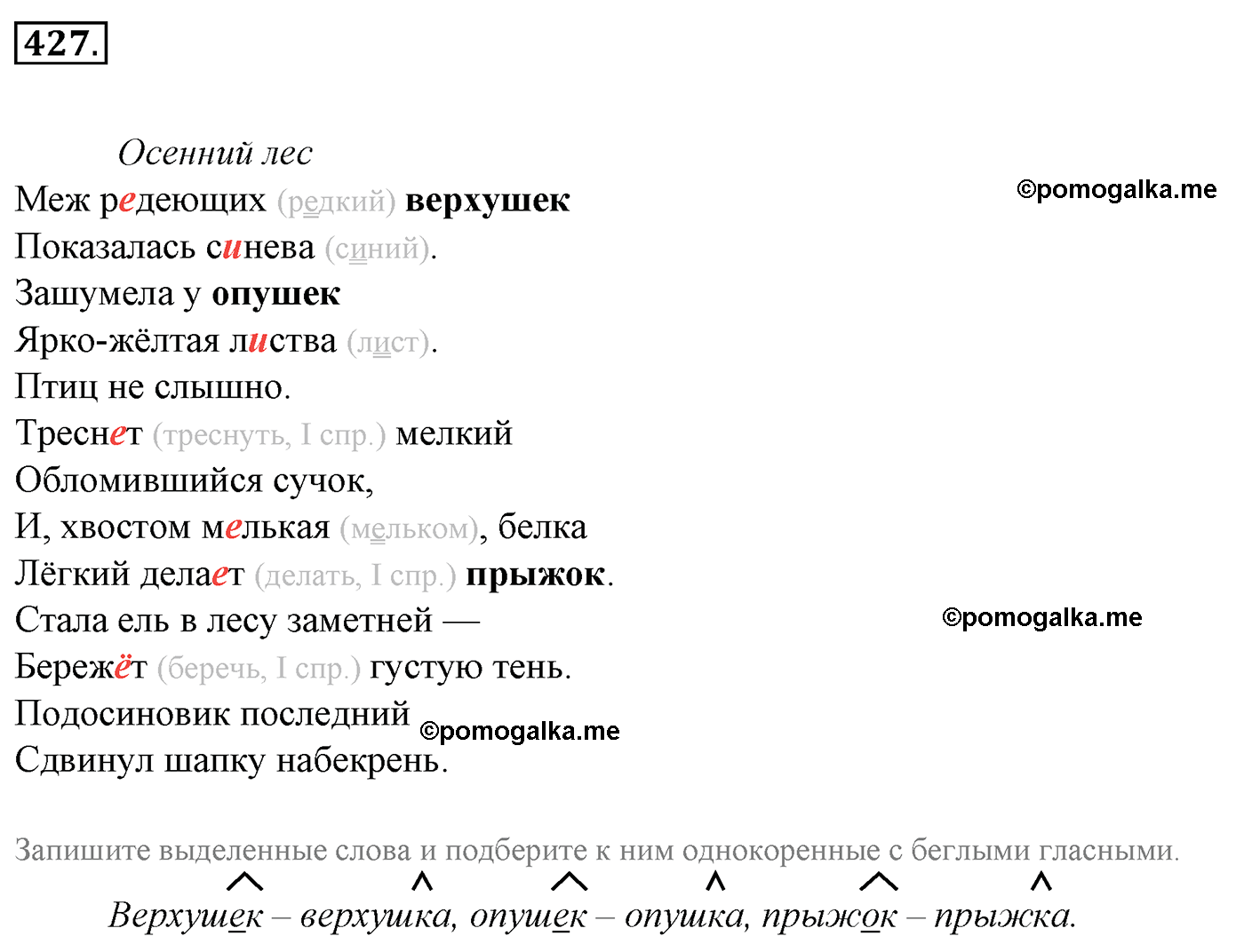 номер 427 русский язык 5 класс Ладыженская, Баранов, Тростенцова 2012 год