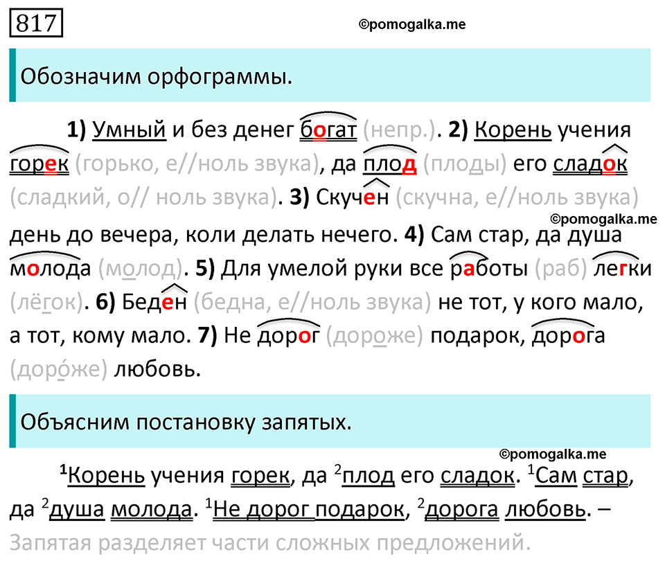 Часть 2 страница 146 упражнение 817 русский язык 5 класс Разумовская, Львова, Капинос, Львов 2021