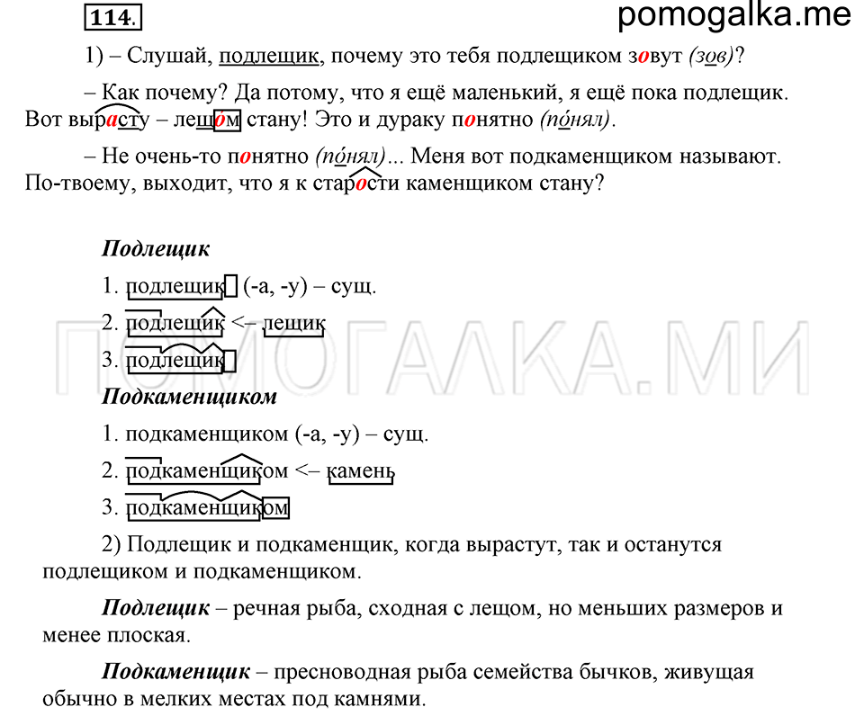 часть 2 страница 169 глава 6 упражнение 114 русский язык 5 класс Шмелёв 2018 год
