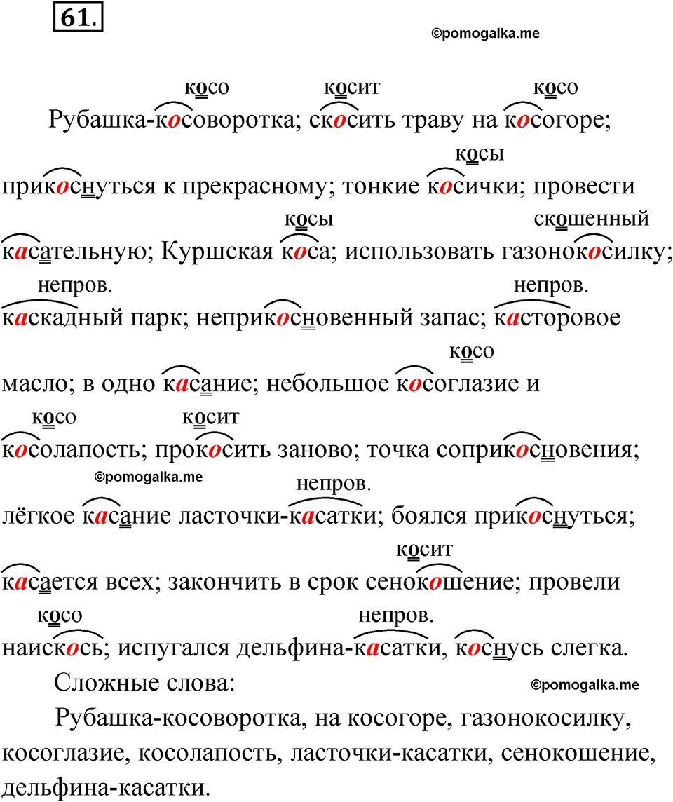 страница 56 упражнение 61 русский язык 6 класс Бондаренко рабочая тетрадь 1 часть 2023 год
