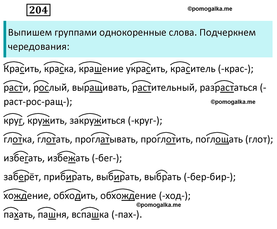 разбор упражнения №204 русский язык 6 класс Баранов, Ладыженская, Тростенцова 2020 год