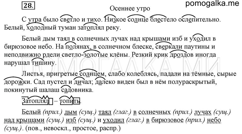 упражнение №28 русский язык 6 класс Ладыженская, Баранов