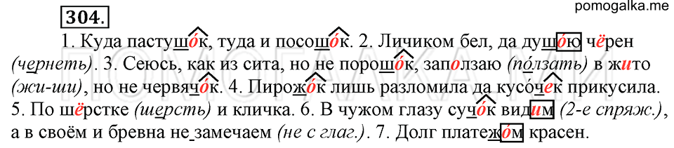 упражнение №304 русский язык 6 класс Ладыженская, Баранов