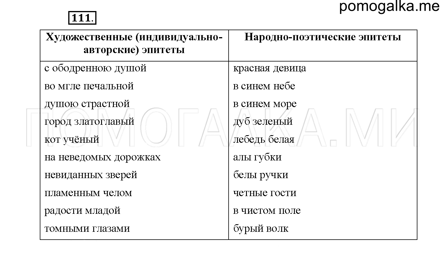 упражнение №111 русский язык 6 класс Рыбченкова