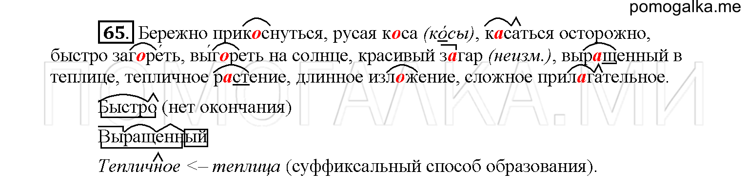 упражнение №65 русский язык 6 класс Рыбченкова