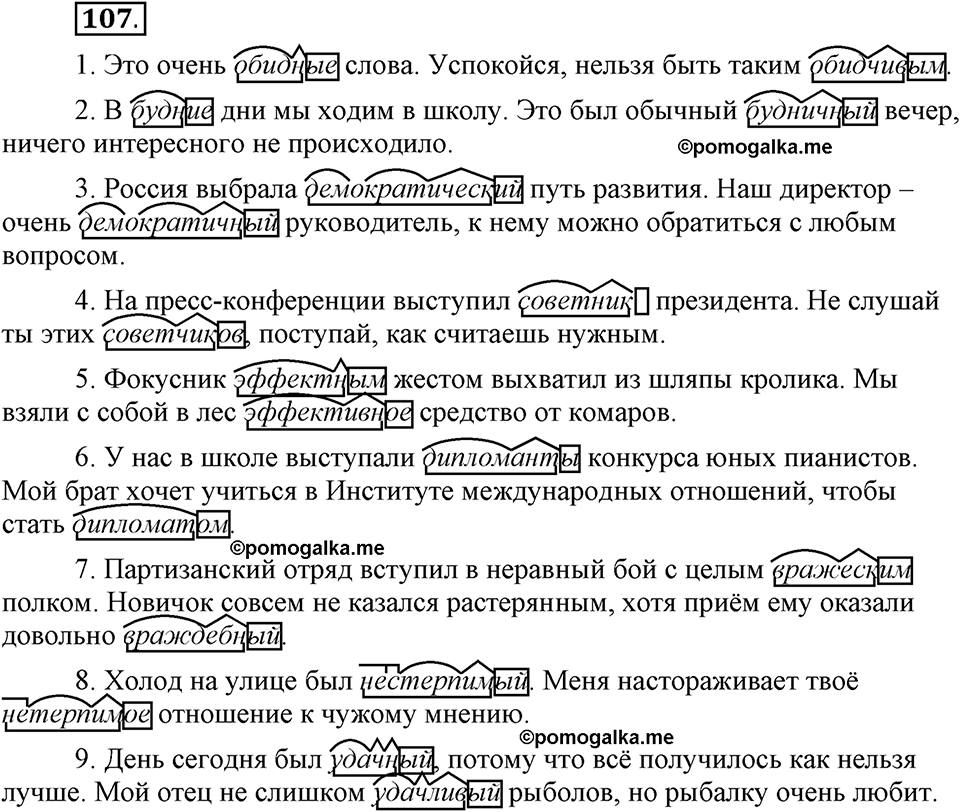 Глава 4. Упражнение №107 русский язык 6 класс Шмелёв