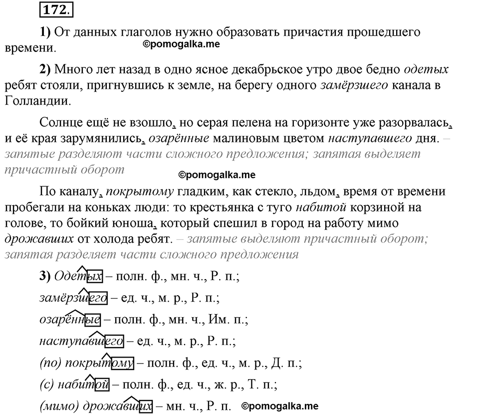 Глава 5. Упражнение №172 русский язык 6 класс Шмелёв