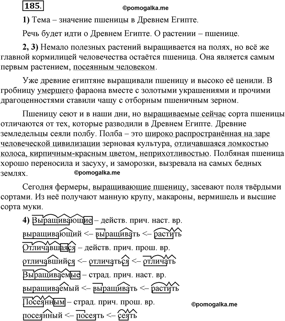 Глава 5. Упражнение №185 русский язык 6 класс Шмелёв