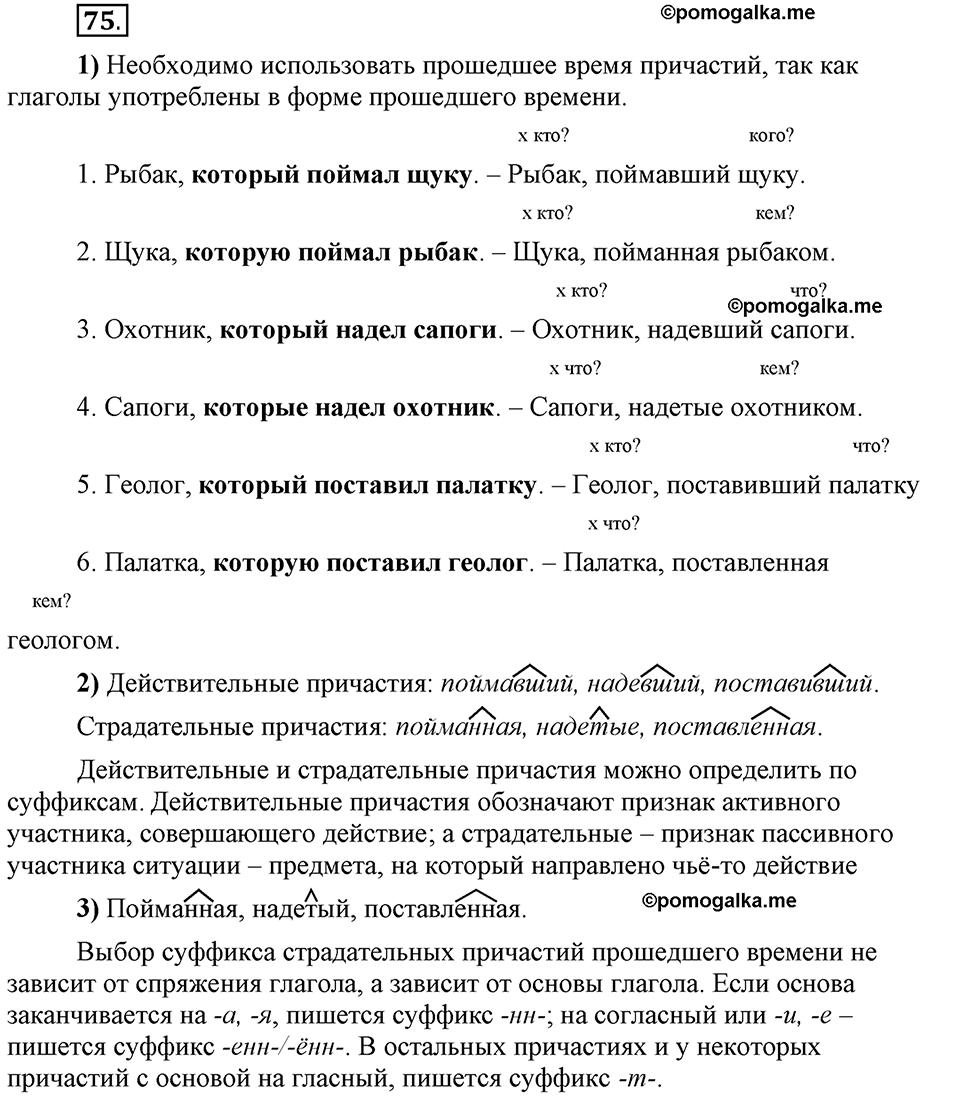 Глава 5. Упражнение №75 русский язык 6 класс Шмелёв