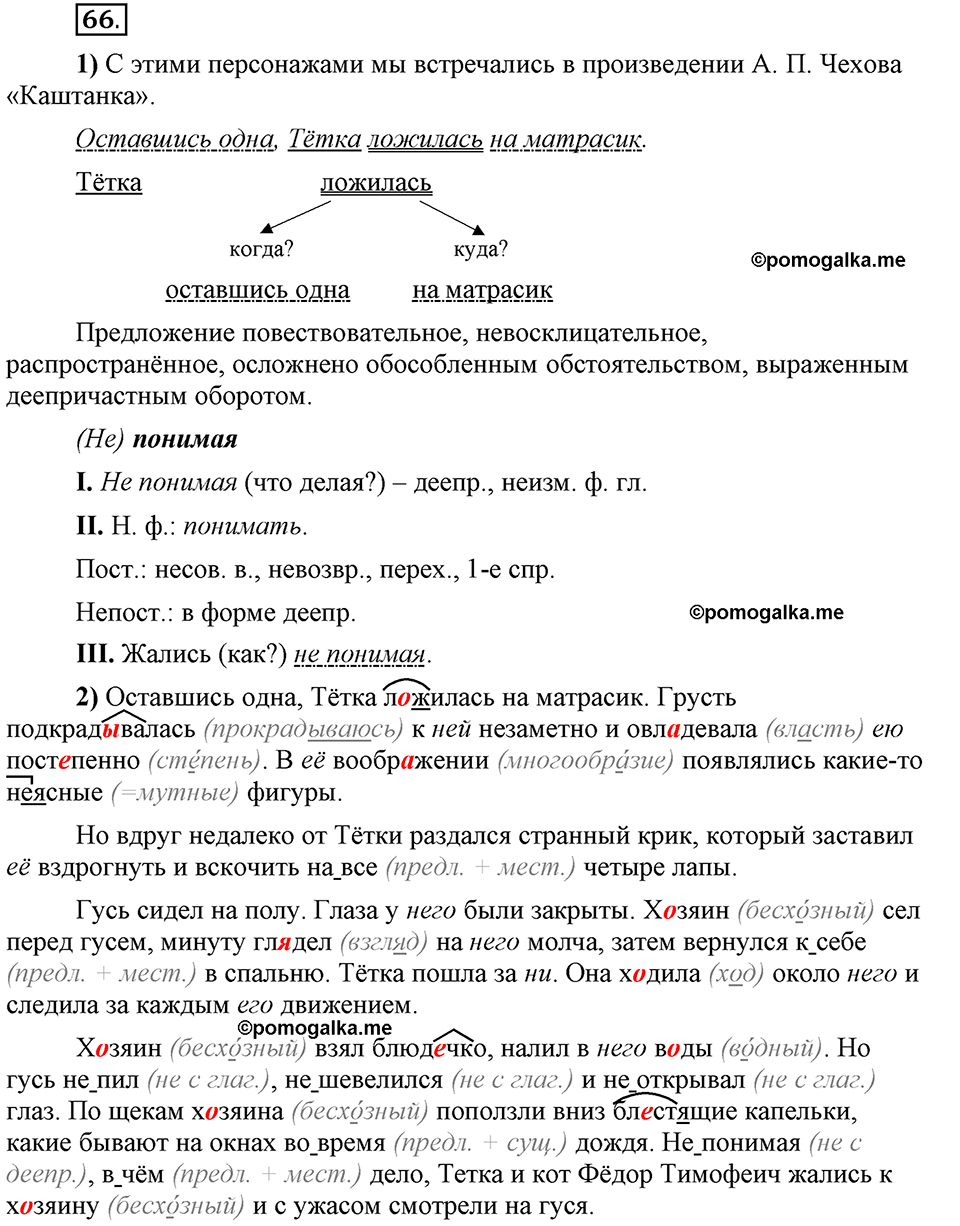 Глава 8. Упражнение №66 русский язык 6 класс Шмелёв