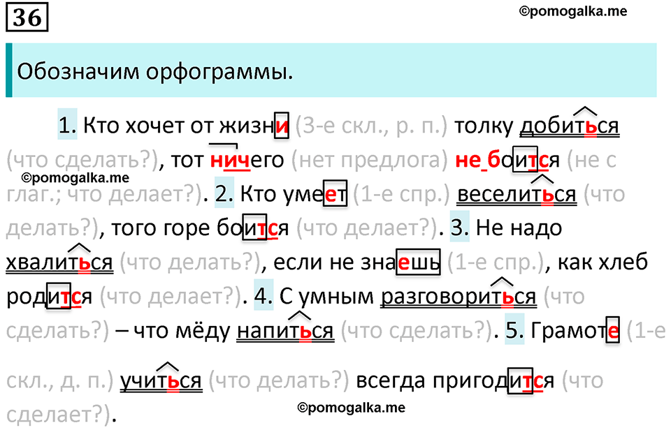 страница 19 упражнение 36 русский язык 7 класс Баранов, Ладыженская 2021-2022 год