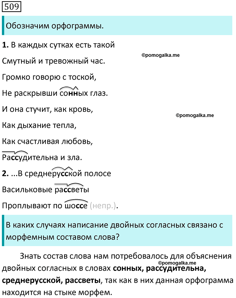 страница 107 упражнение 509 русский язык 7 класс Баранов, Ладыженская 2021-2022 год