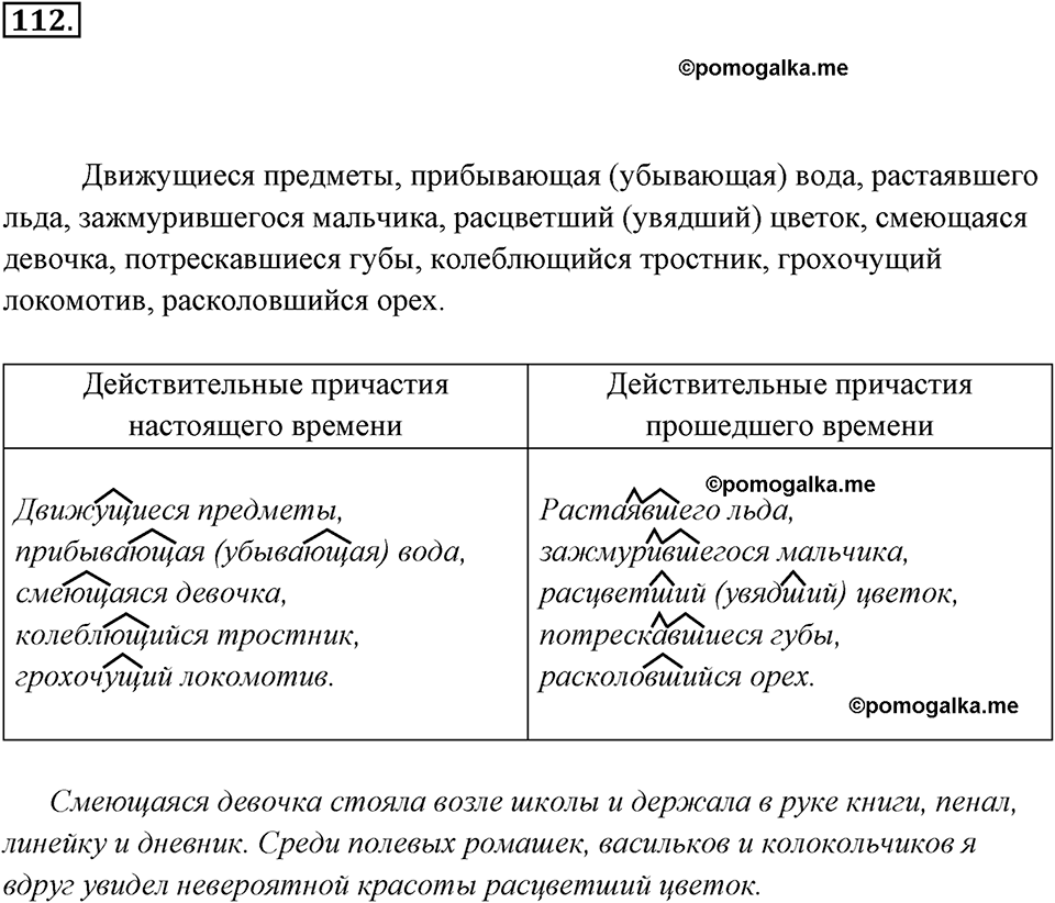 упражнение №112 русский язык 7 класс Ладыженская, Баранов
