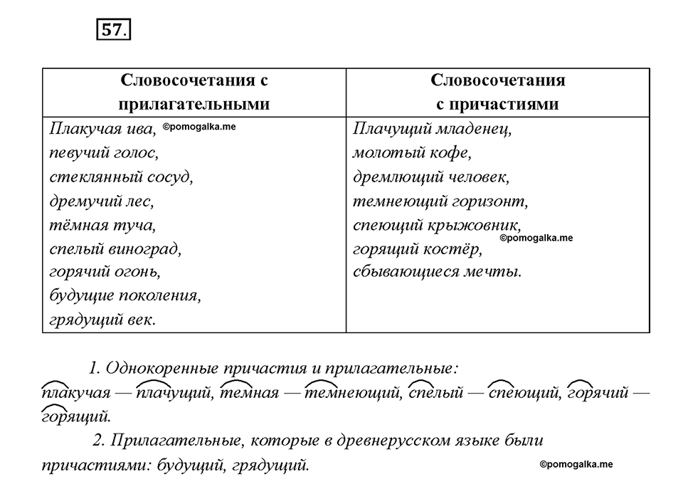 страница 33 упражнение 57 русский язык 7 класс Рыбченкова 2015 год