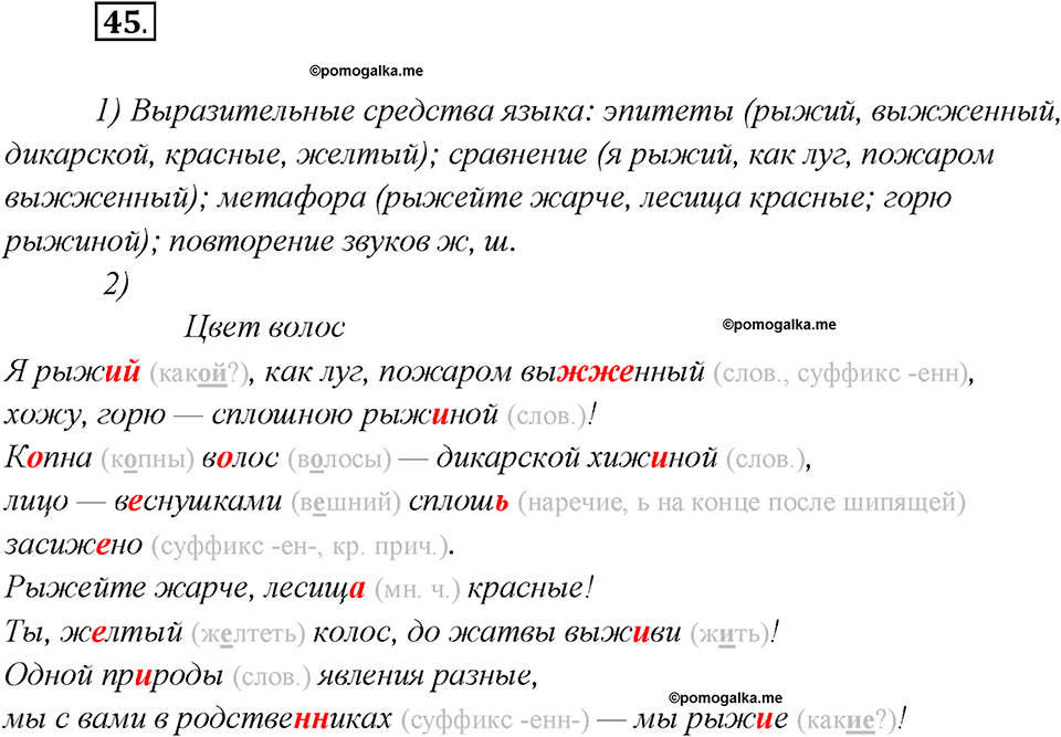 Глава 3. Упражнение №45 русский язык 7 класс Шмелев