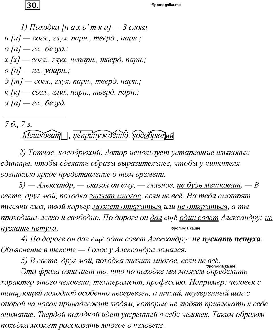 Глава 5. Упражнение №30 русский язык 7 класс Шмелев