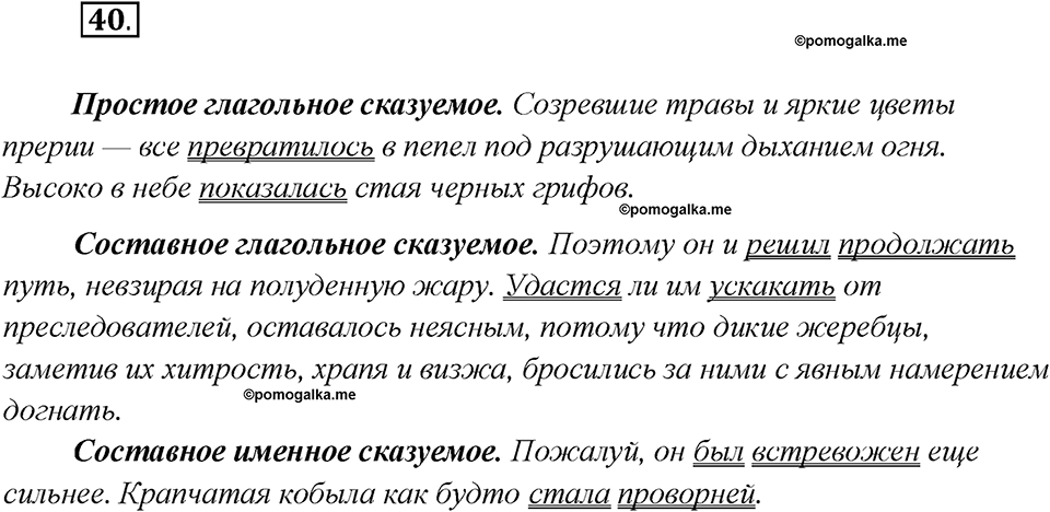 Глава 6. Упражнение №40 русский язык 7 класс Шмелев