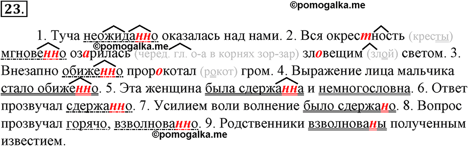 страница 19 упражнение 23 русский язык 8 класс Тростенцова, Ладыженская 2014 год