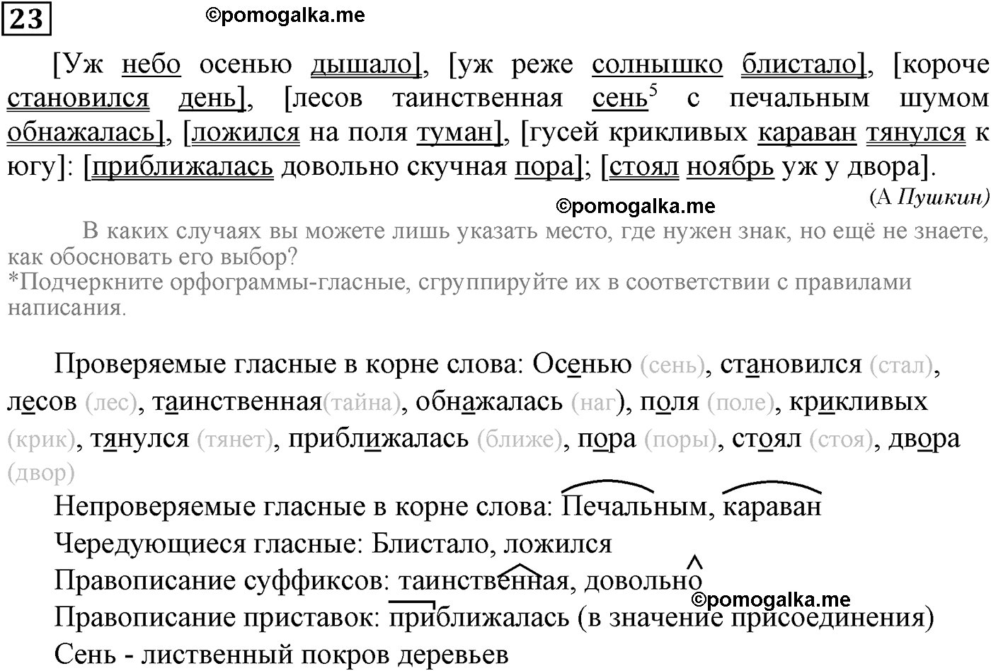 упражнение №23 русский язык 9 класс Пичугов