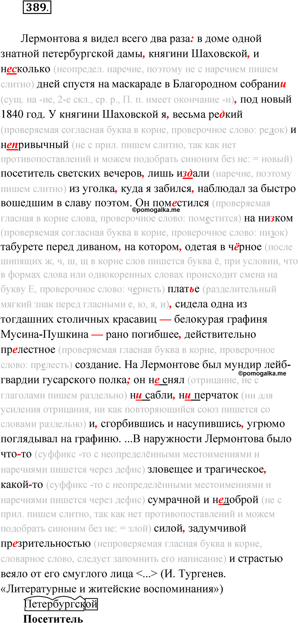 страница 206 упражнение 389 русский язык 9 класс Бархударов 2023 год