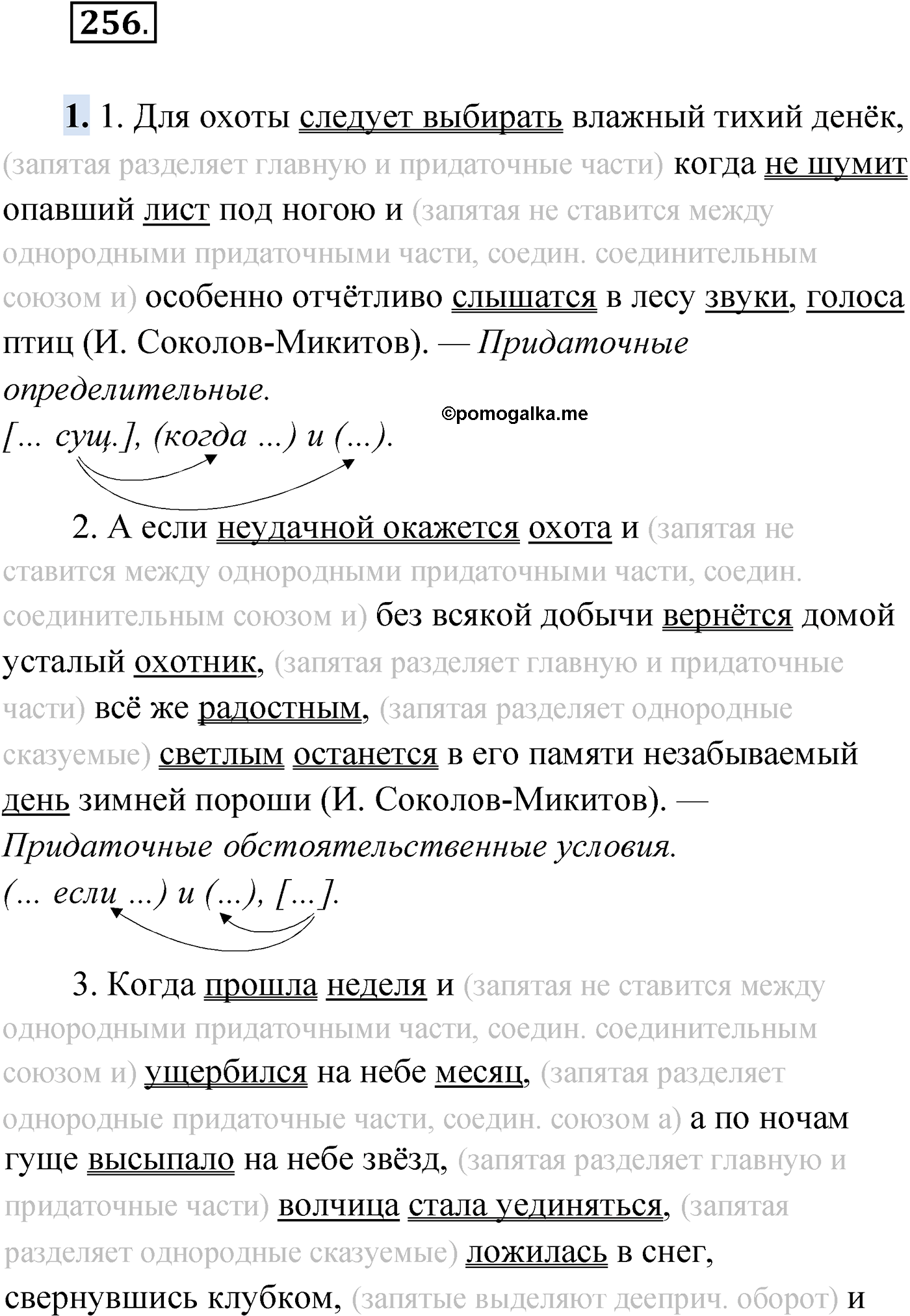 упражнение №256 русский язык 9 класс Мурина 2019 год