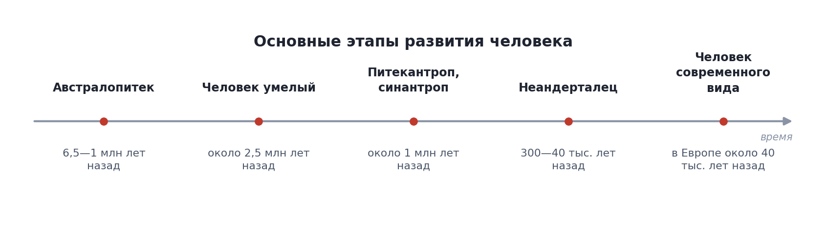 Лента времени: основные этапы развития человека