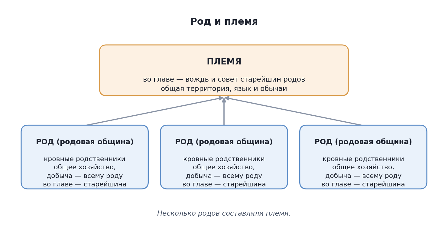 Схема: род (родовая община) и племя
