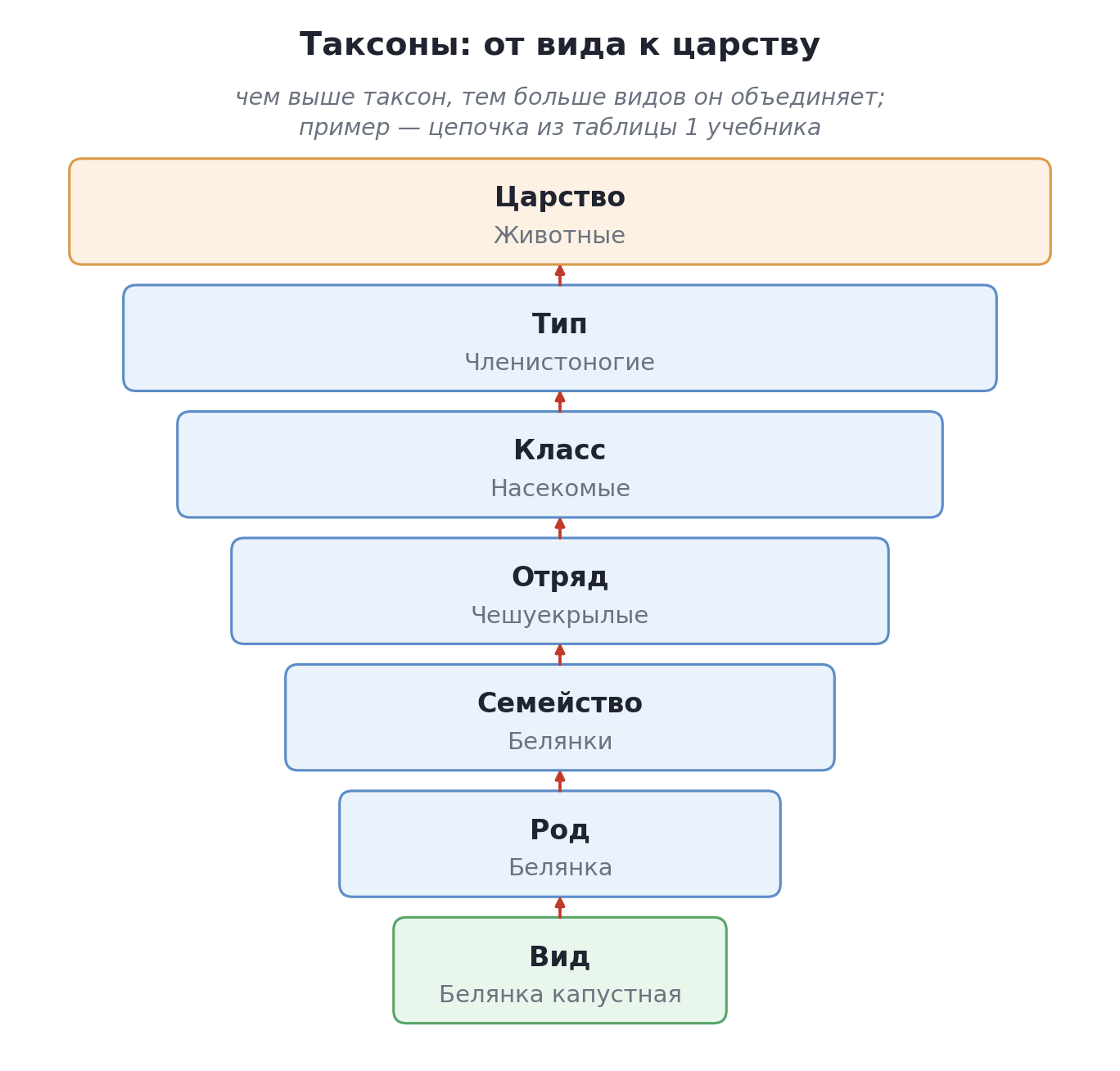 Лестница таксонов: от вида к царству