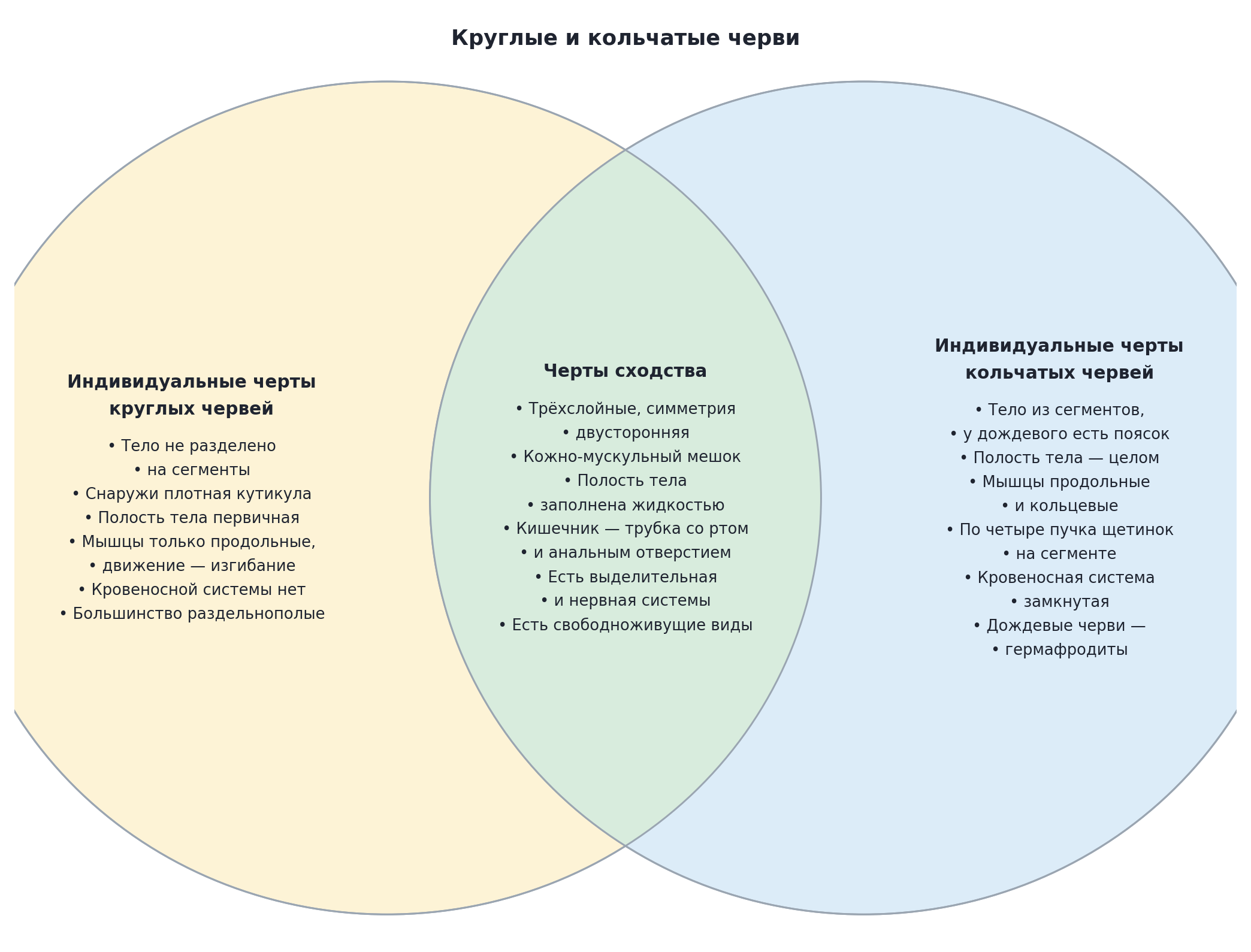 Диаграмма Эйлера — Венна: круглые и кольчатые черви
