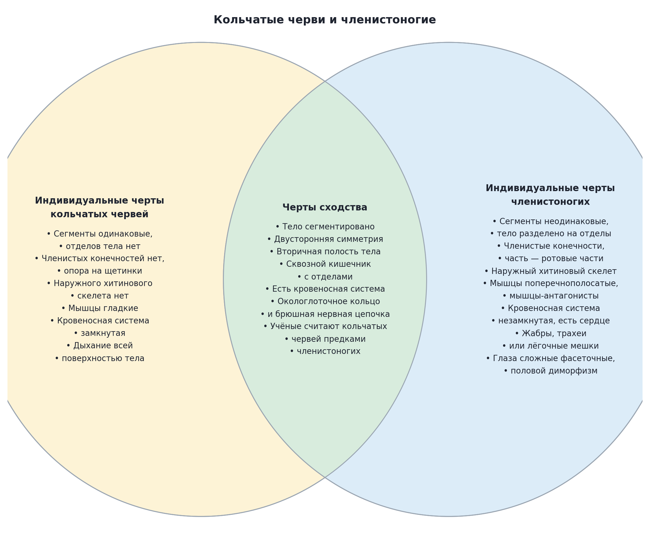Диаграмма Эйлера — Венна: кольчатые черви и членистоногие