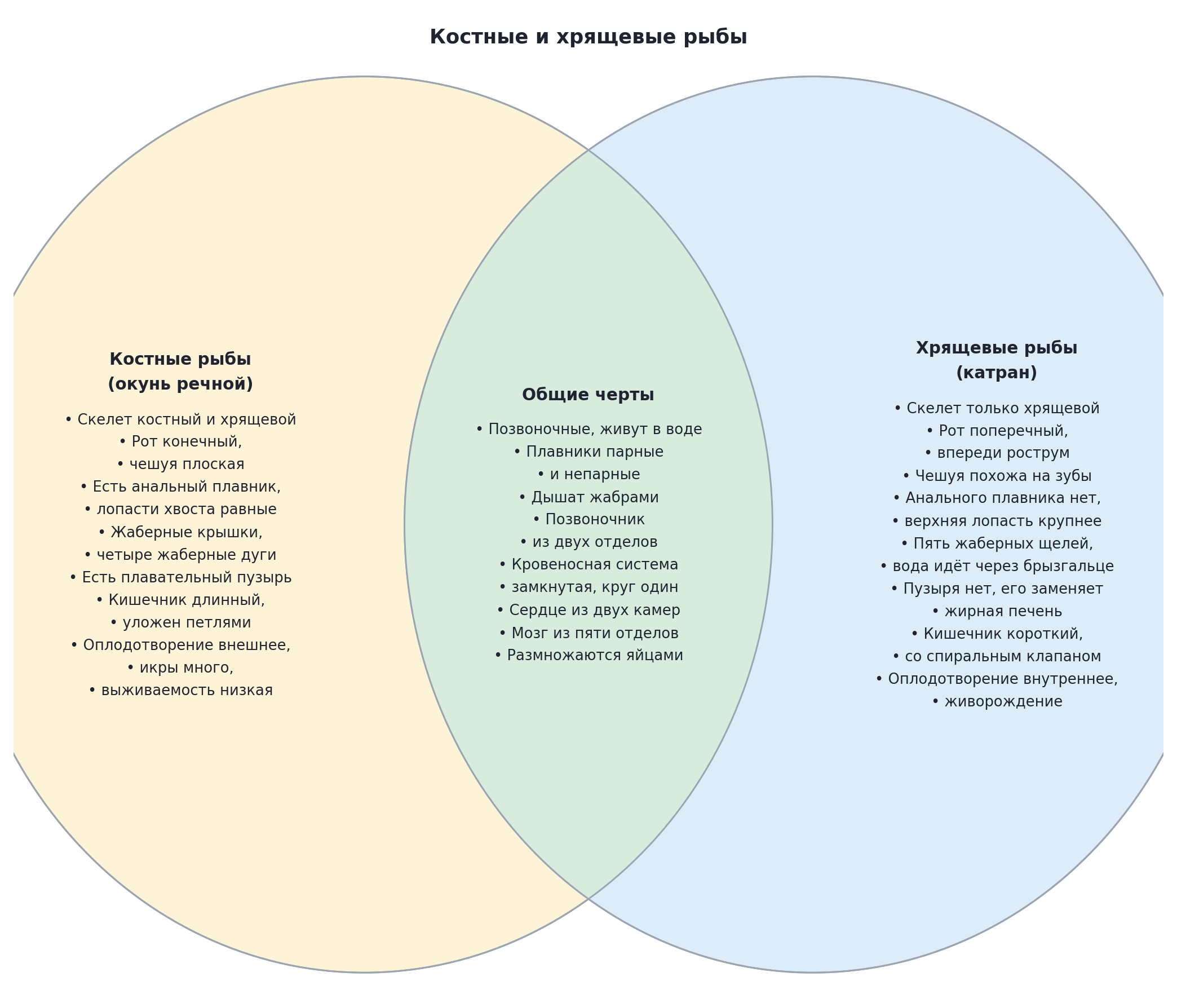 Диаграмма Эйлера — Венна: костные и хрящевые рыбы