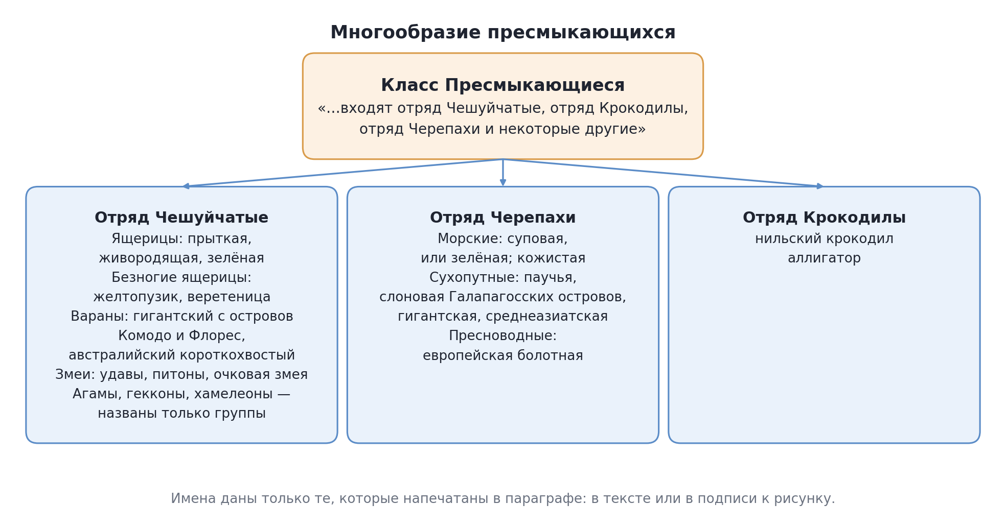 Многообразие пресмыкающихся: отряды и представители