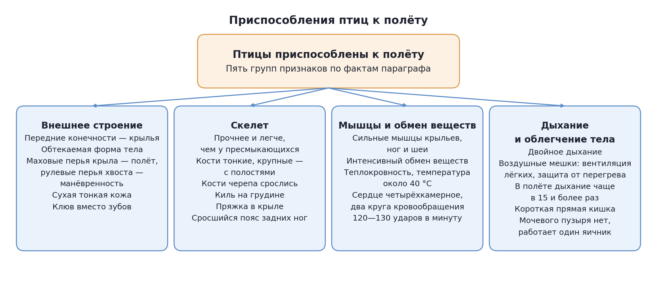 Приспособления птиц к полёту