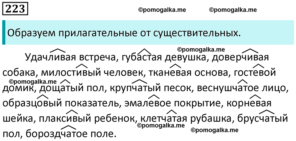 часть 1 страница 210 упражнение 223 русский язык 10-11 класс Гольцова 2022 год