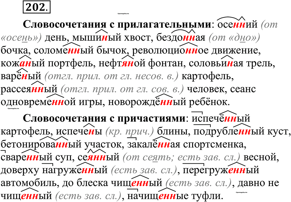 страница 96 упражнение 202 русский язык 10-11 класс Рыбченкова учебник 2026 год