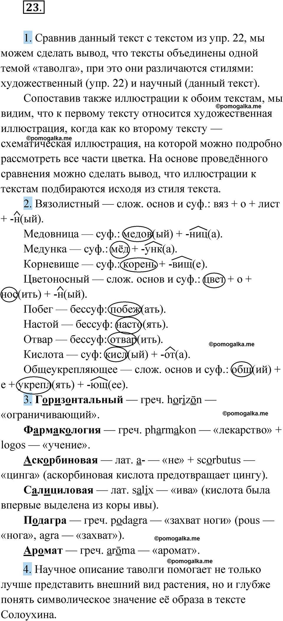 страница 36 упражнение 23 русский язык 11 класс Львова базовый уровень 2022 год