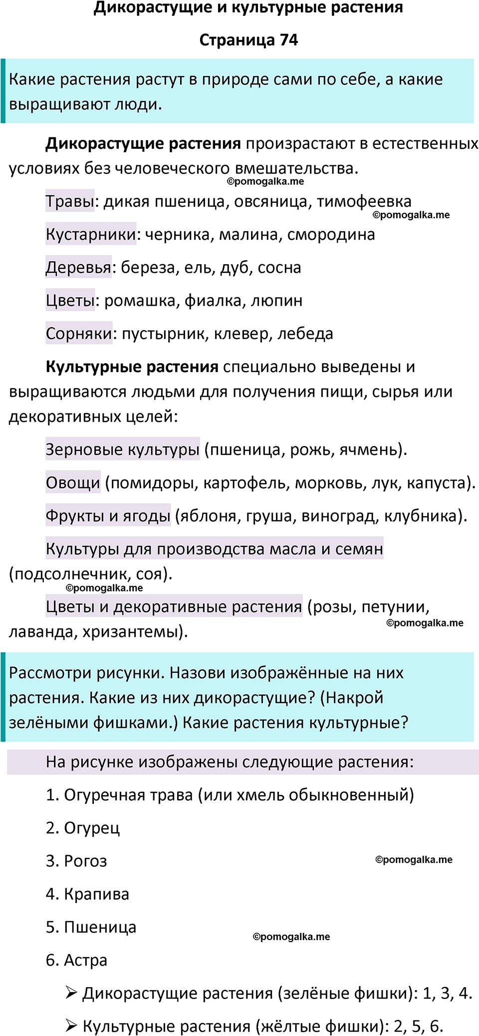 часть 1 страница 74 окружающий мир 2 класс Плешаков учебник 2024 год