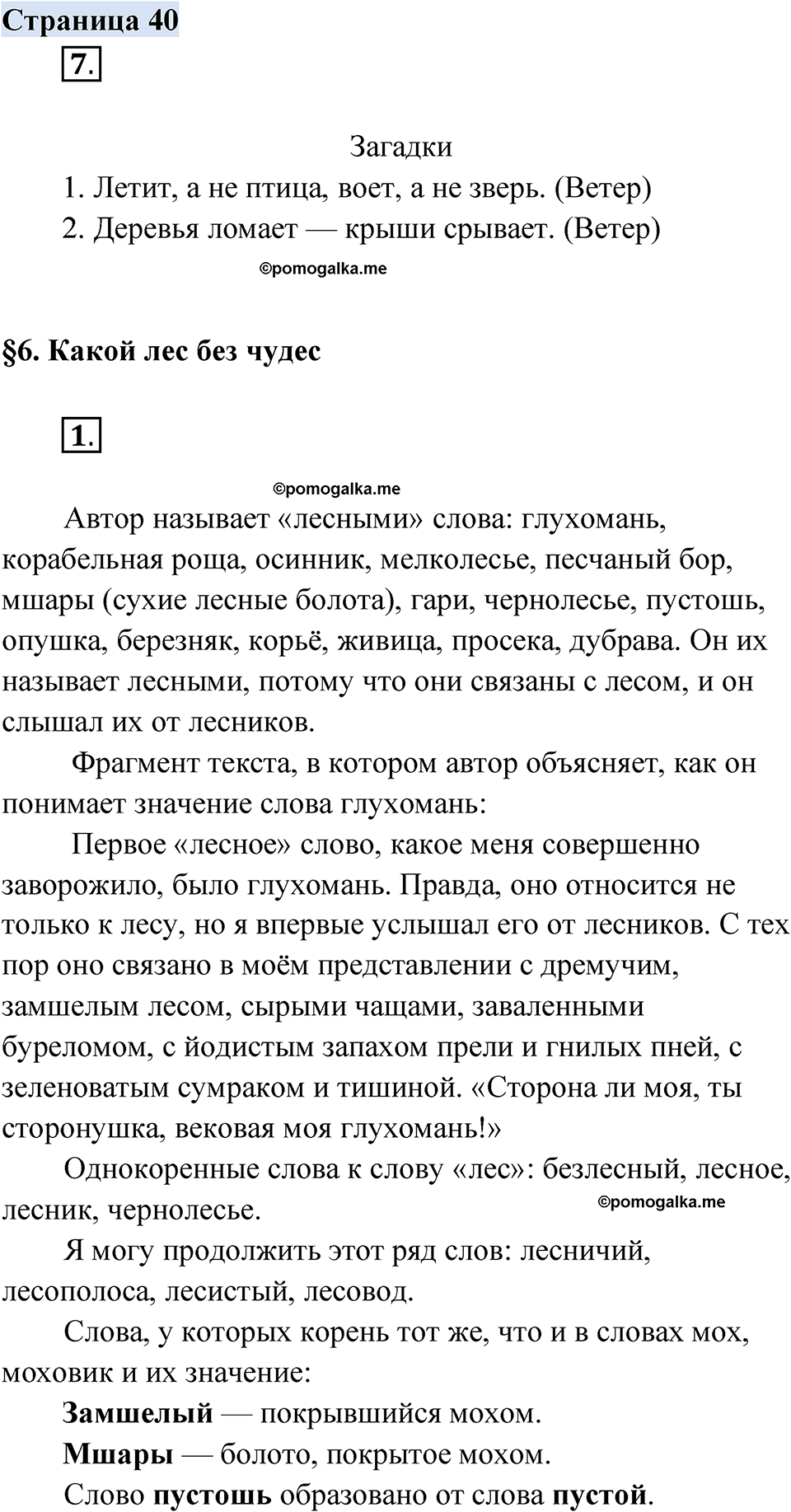 страница 40 русский родной язык 3 класс Александрова 2022 год