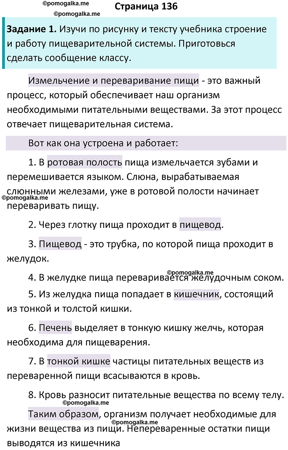 часть 1 страница 136 окружающий мир 3 класс Плешаков, Новицкая учебник 2024 год