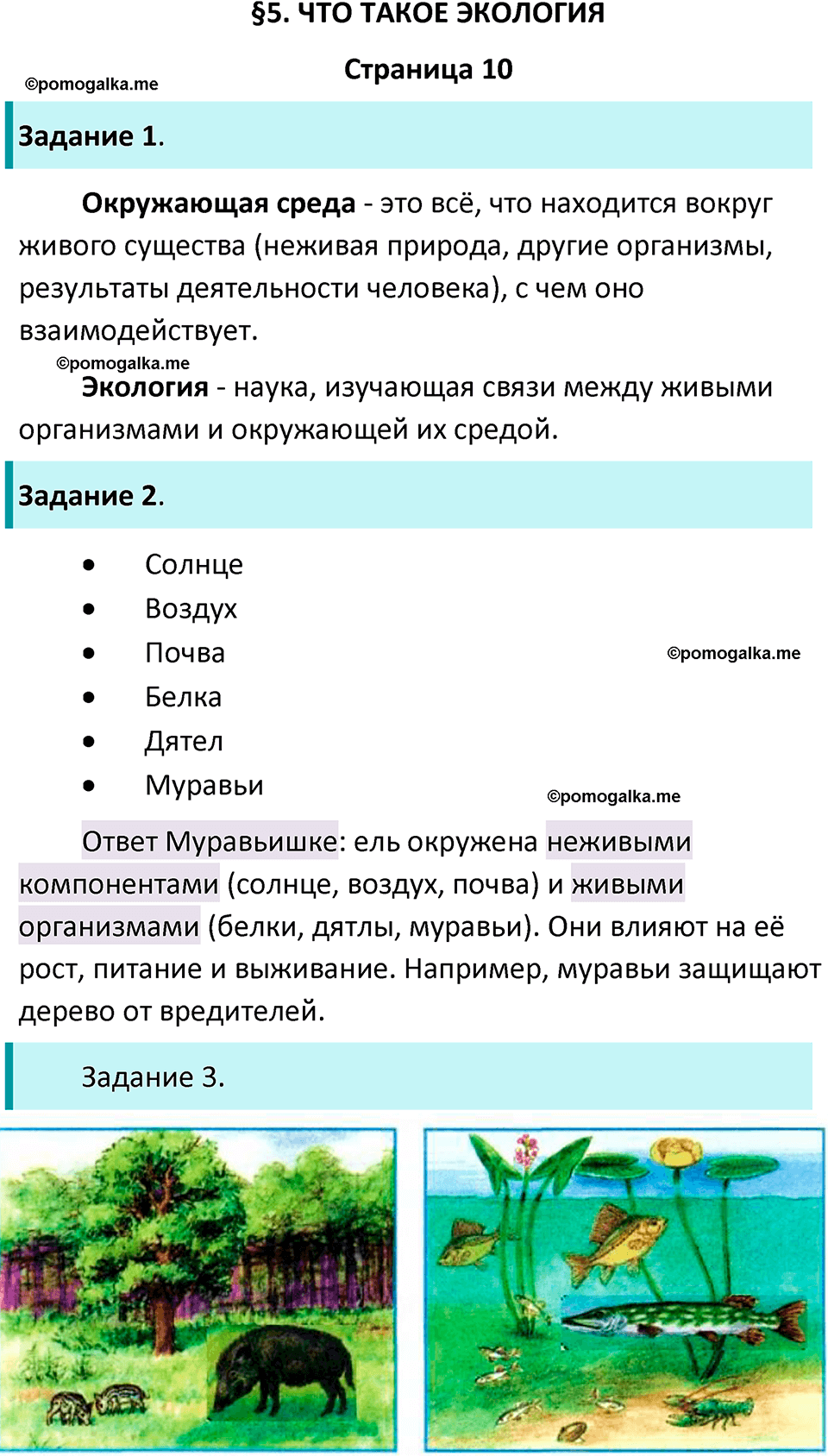 часть 1 страница 10 окружающий мир 3 класс Плешаков рабочая тетрадь 2025 год