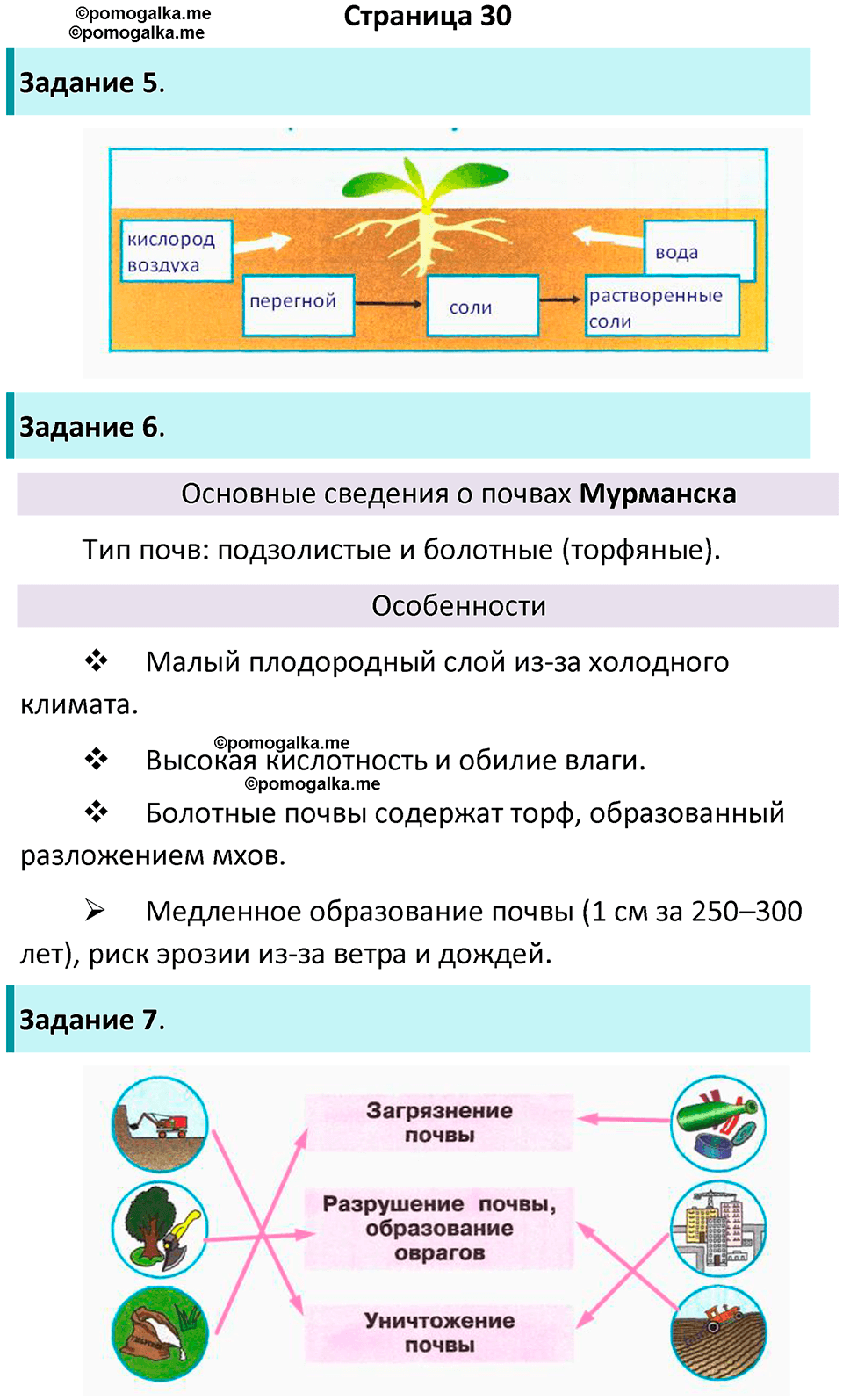 часть 1 страница 30 окружающий мир 3 класс Плешаков рабочая тетрадь 2025 год