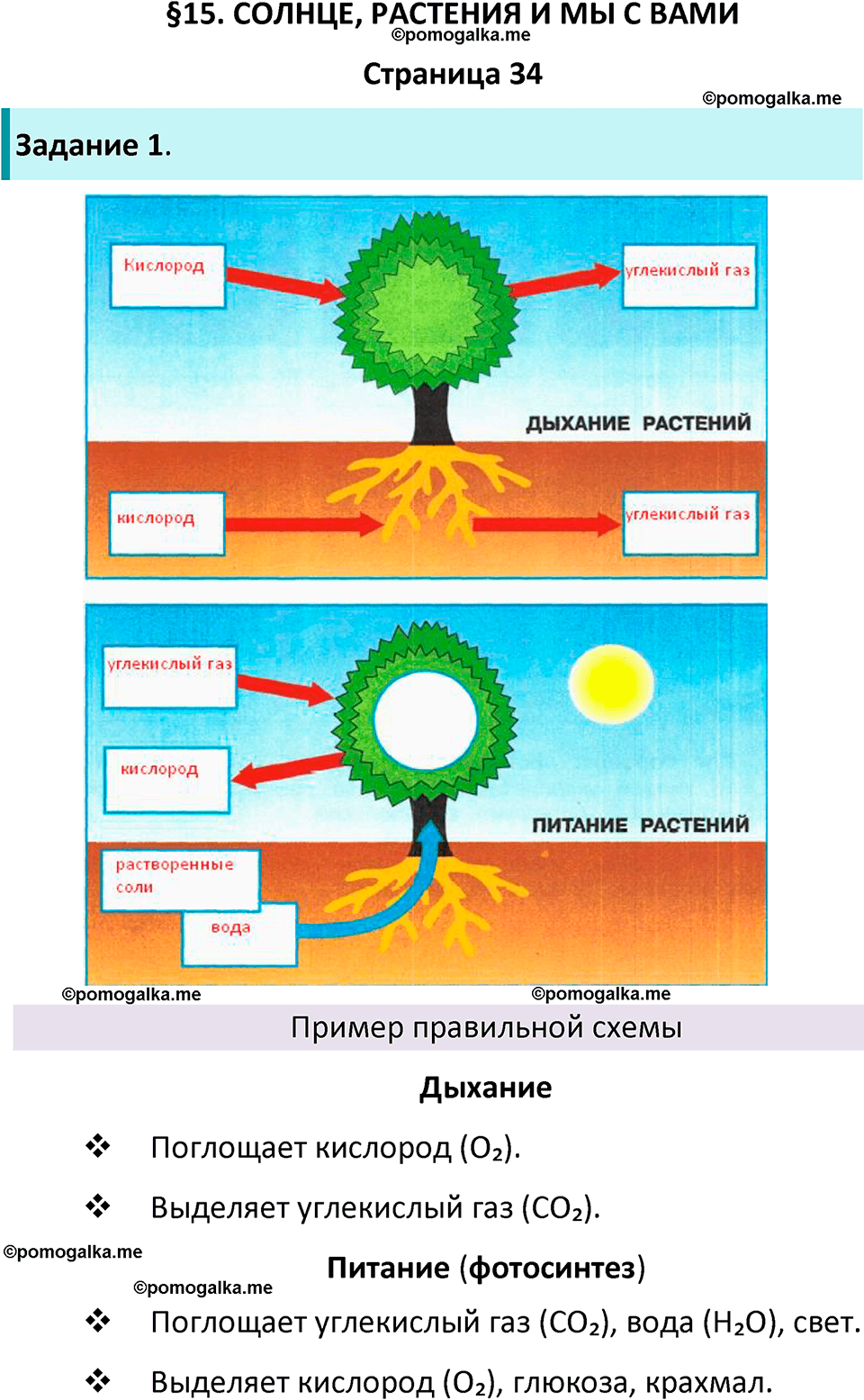часть 1 страница 34 окружающий мир 3 класс Плешаков рабочая тетрадь 2025 год